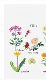 DMC - Botanical Medicinal Plants - Free