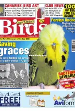 Cage & Aviary Birds - Issue 6041- 09 January 2019
