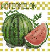 DOME 220803 watermelon